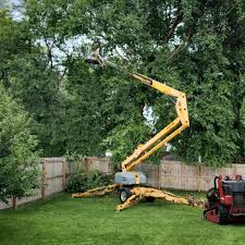 Best Lawn Renovation and Restoration  in Melville, RI